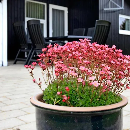 Three-bedroom Holiday In 35 Oksbøl